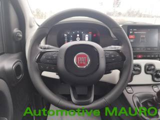 FIAT Panda Cross usata 19