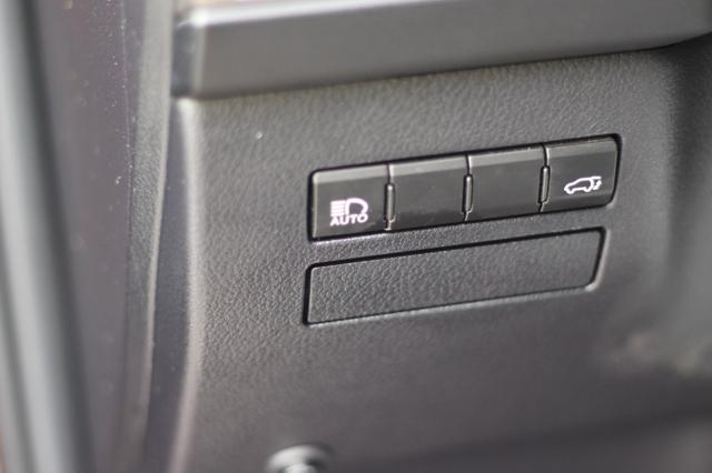 LEXUS NX 300h usata, con Controllo trazione