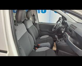FIAT New Panda usata 16