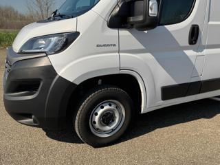 FIAT Ducato usata 17