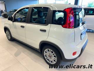 FIAT Panda usata, con Boardcomputer
