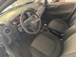 FIAT Punto usata, con Controllo trazione