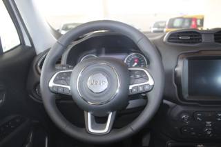 JEEP Renegade usata, con Cruise Control