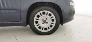 FIAT Panda usata 34
