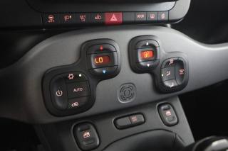 FIAT Panda usata 8