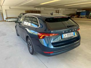 SKODA Octavia usata, con Park Distance Control