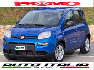 FIAT Panda 1.0 HYBRID 5 POSTI+SCHERMO COLORI+S.PARK