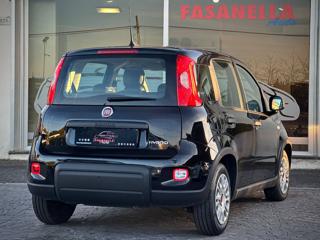 FIAT Panda usata, con ESP