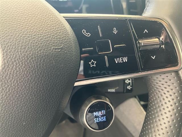 RENAULT Austral usata, con Parabrezza riscaldabile