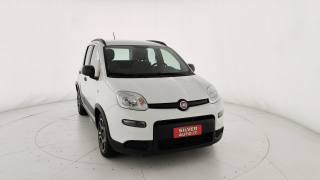FIAT Panda usata 27