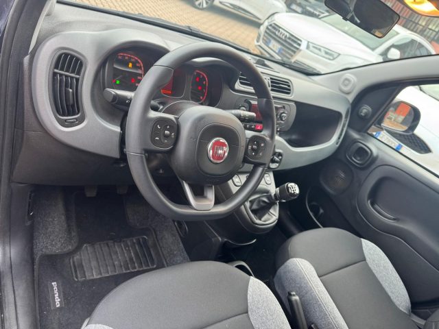 FIAT Panda usata, con Volante multifunzione