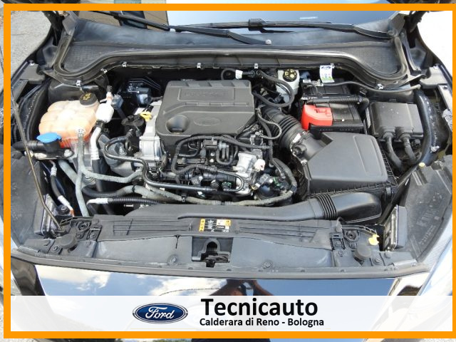 FORD Focus usata 24