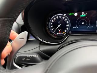 ALFA ROMEO Tonale usata, con Bracciolo