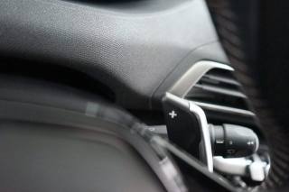 PEUGEOT 3008 usata 55