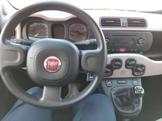 FIAT Panda usata, con Controllo trazione