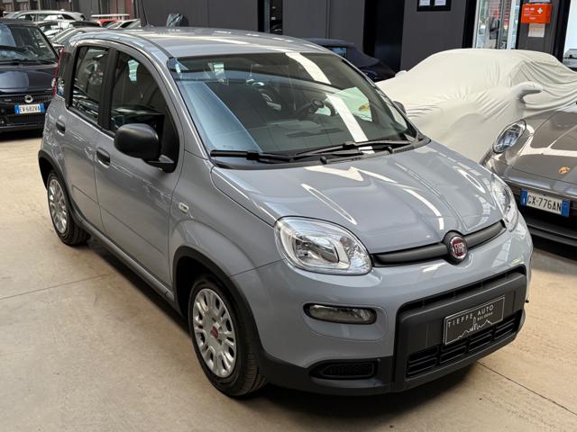 FIAT Panda usata, con Airbag Passeggero