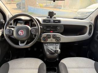 FIAT Panda usata 10