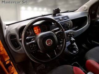 FIAT Panda usata, con Fendinebbia