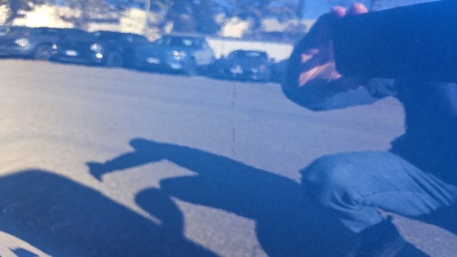 SKODA Octavia usata, con Volante multifunzione