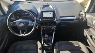 FORD EcoSport usata, con Airbag testa