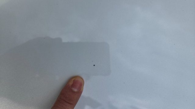 TESLA Model Y usata, con Controllo trazione