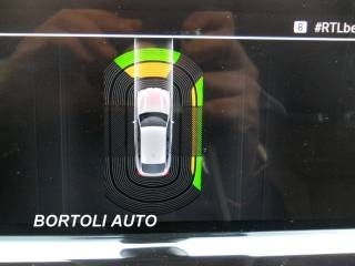 BMW X4 usata, con Leve al volante