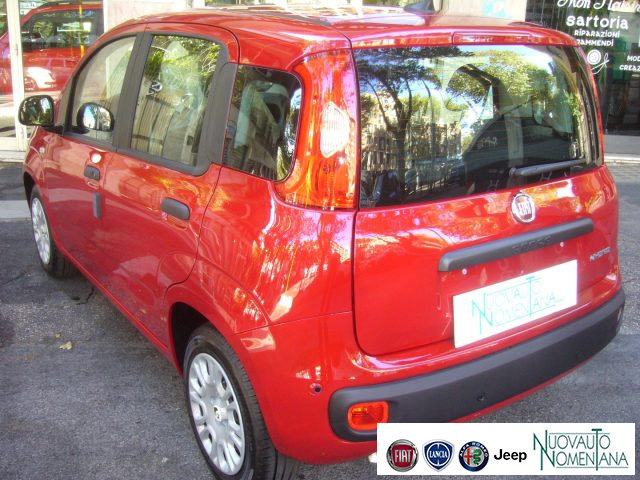 FIAT Panda usata, con USB