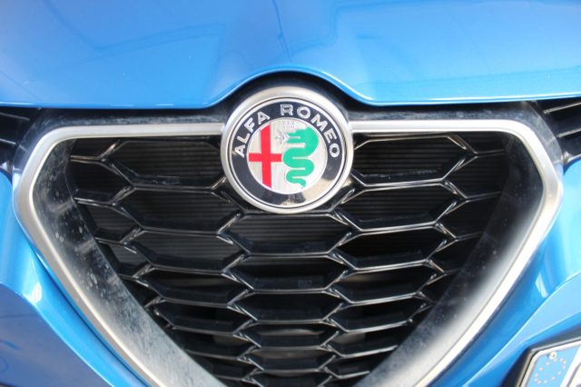 ALFA ROMEO Tonale usata, con Bracciolo
