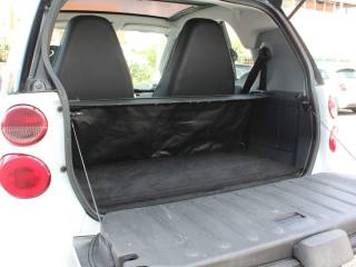 SMART ForTwo usata, con Kit antipanne