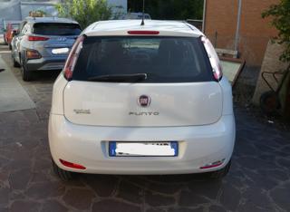 FIAT Punto usata, con Alzacristalli elettrici