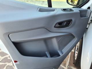 FORD Transit usata 12
