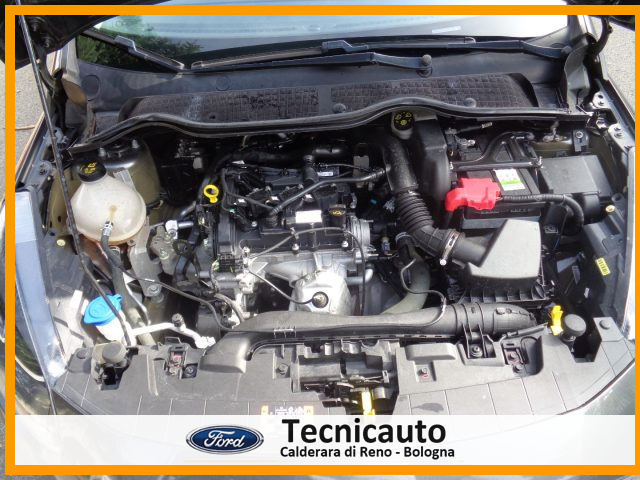 FORD Fiesta usata 23
