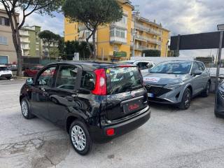 FIAT Panda usata, con Alzacristalli elettrici