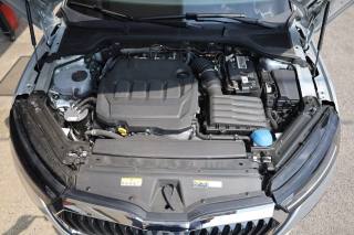 SKODA Octavia usata 169