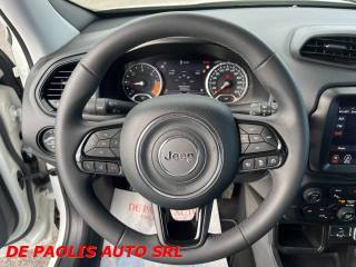 JEEP Renegade usata, con Cronologia tagliandi