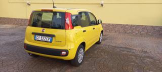 FIAT Panda usata, con Airbag Passeggero