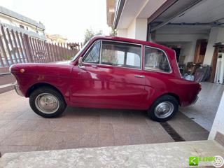 AUTOBIANCHI Bianchina usata 24