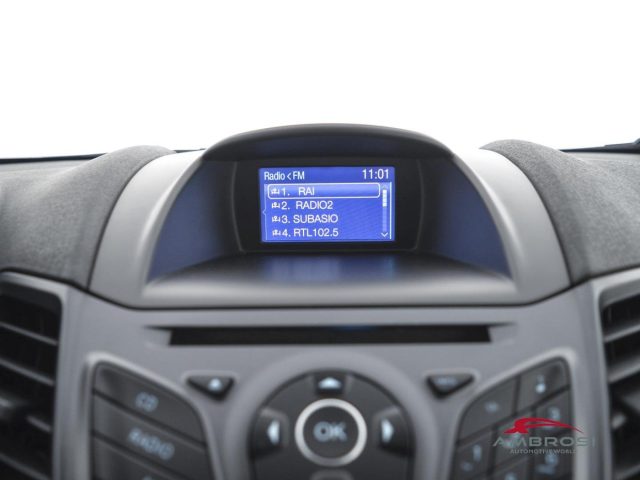FORD Fiesta usata 14