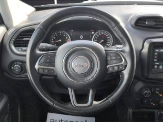 JEEP Renegade usata, con Bracciolo