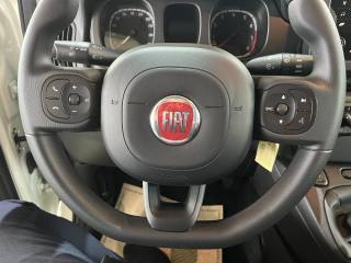 FIAT Panda usata, con Controllo trazione