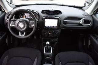 JEEP Renegade usata, con Cerchi in lega
