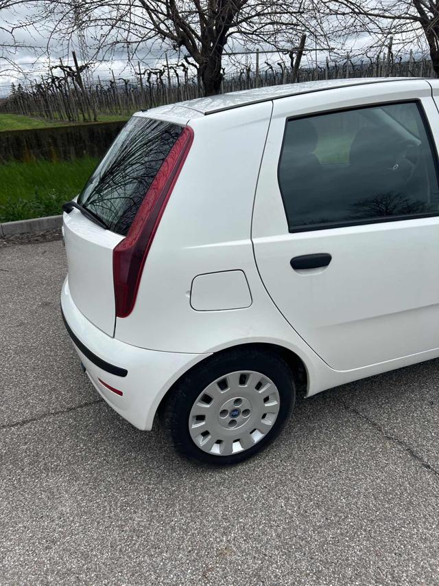 FIAT Punto usata 5