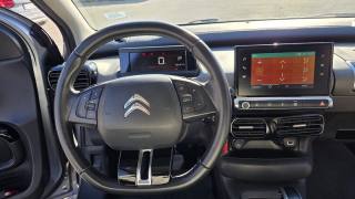 CITROEN C4 Cactus usata, con Fendinebbia