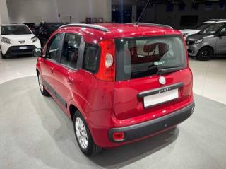 FIAT Panda usata, con Airbag Passeggero