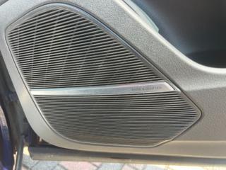 AUDI SQ8 usata, con Filtro antiparticolato