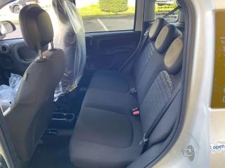FIAT Panda Cross usata, con Controllo trazione