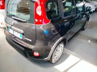 FIAT Panda usata, con Controllo trazione