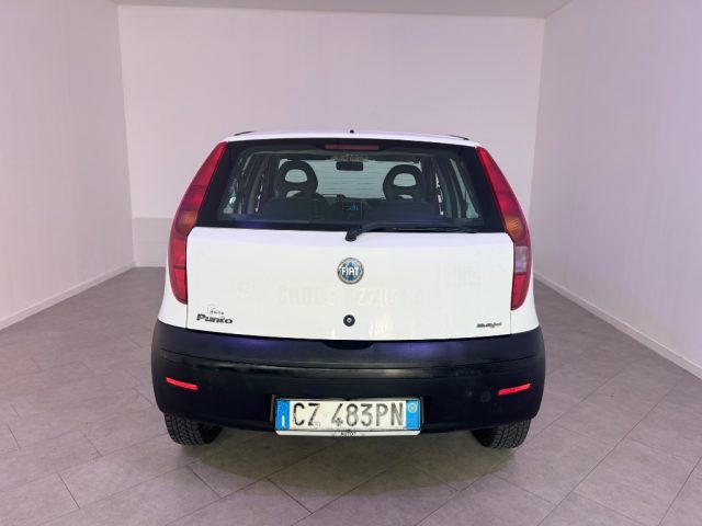 FIAT Punto usata 7