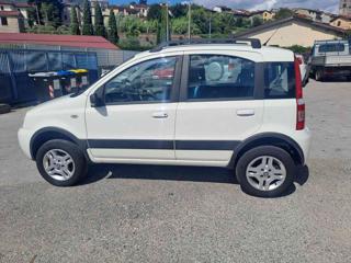 FIAT Panda usata, con Fendinebbia
