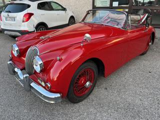 JAGUAR XK usata 13